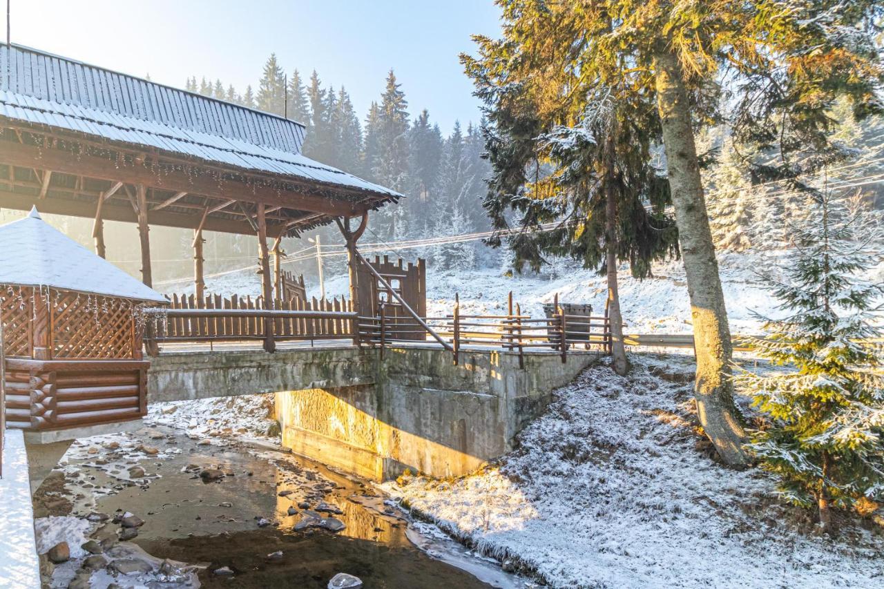Villa Nikoletta Spa Bukovel Luaran gambar